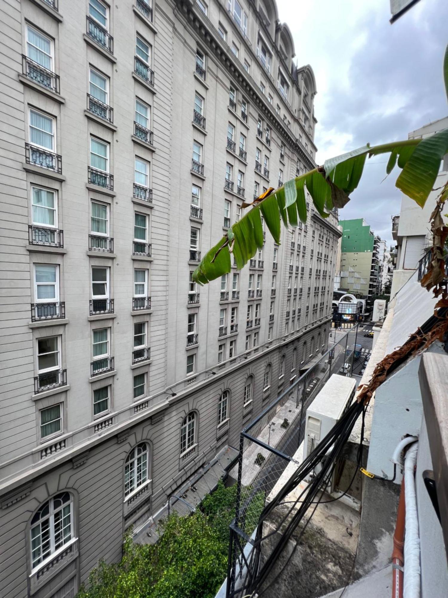 Petite Alvear Buenos Aires Eksteriør billede